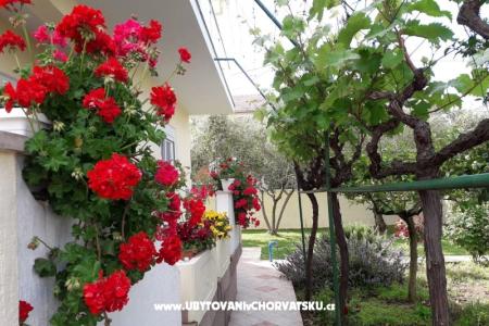 Villa Rosemarino foto 4