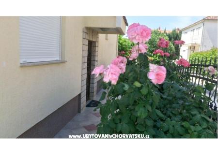 Villa Rosemarino foto 5