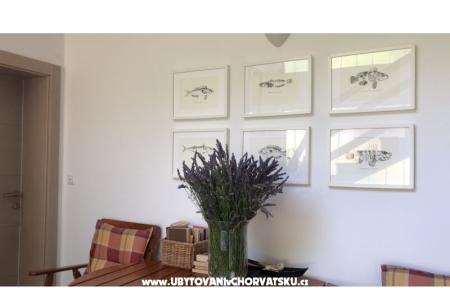 Apartmány Jardin foto 4