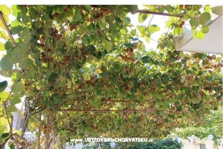 Apartmány DEMS 1 foto 5