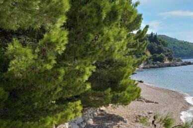 Apartmány Ena foto 4