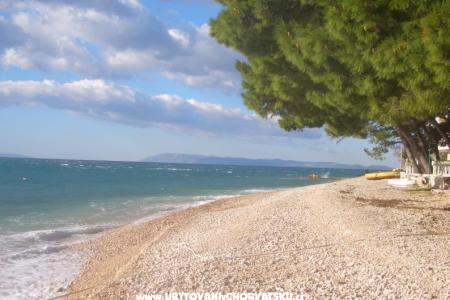 Kod dvije palme foto 2