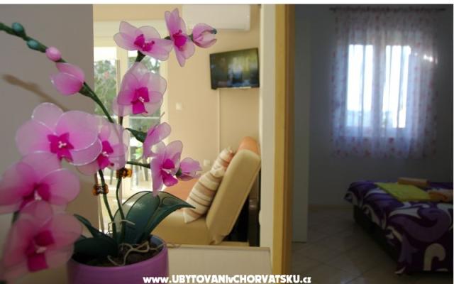 Apartmány Lovre – Ubytování Bibinje Chorvatsko