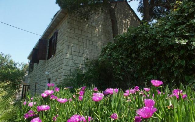 Villa Santa Lucia – Ubytování Brač Chorvatsko