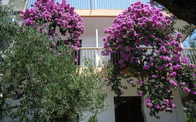 Apartmán Gradac Falak – Ubytování Gradac – Podaca Chorvatsko