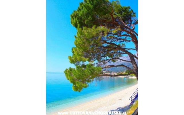 Apartmány Helena – Ubytování Gradac – Podaca Chorvatsko