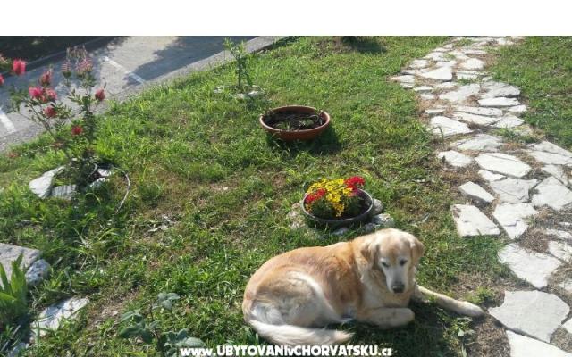 Mini Kemp Podaca – Ubytování Gradac – Podaca Chorvatsko