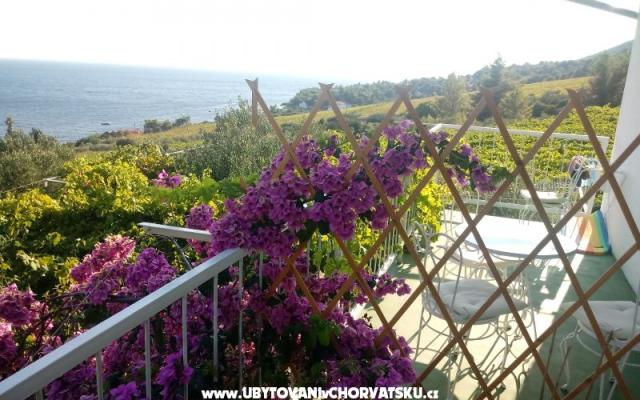 ART AND NATURE  – Ubytování ostrov Hvar Chorvatsko