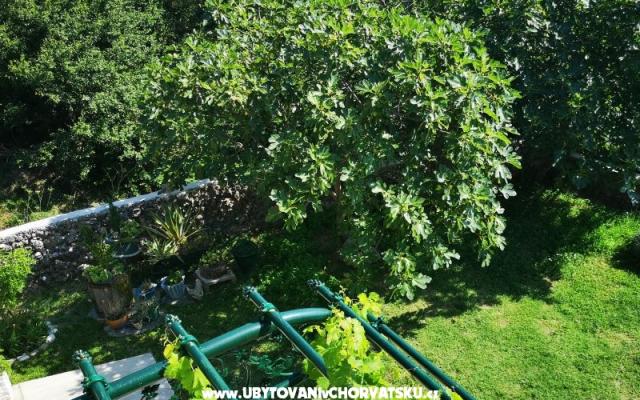 Apartmány Garden paradise – Ubytování Makarska Chorvatsko