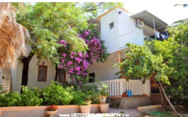 Apartmány Oaza – Ubytování Makarska Chorvatsko