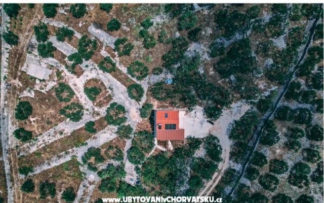 Green Dům (Dogs are welcome) – Ubytování Marina – Trogir Chorvatsko