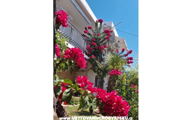 Apartmány Sokolić – Ubytování Novi Vinodolski Chorvatsko