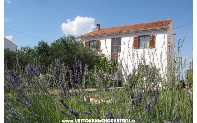 Apartmány Blazenka – Ubytování ostrov Pašman Chorvatsko
