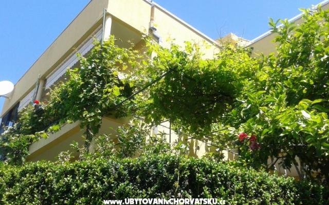 Villa Buvinic – Ubytování Podgora Chorvatsko