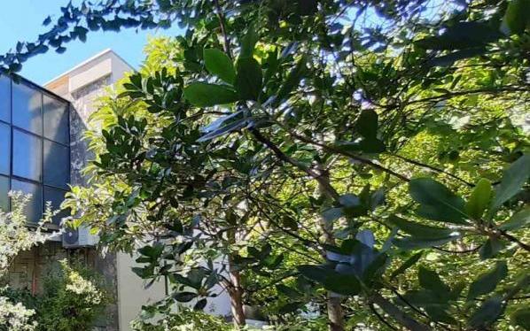 Apartmán Zora Pula – Ubytování Pula Chorvatsko