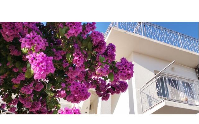 Apartmán Mare – Ubytování Šibenik Chorvatsko