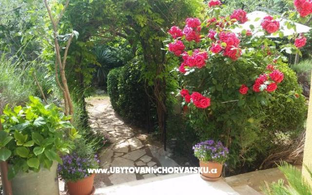 Vila Arboretum Šibenik – Ubytování Šibenik Chorvatsko