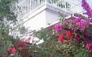 Apartmány Zdravka -15% – Ubytování ostrov Šolta Chorvatsko