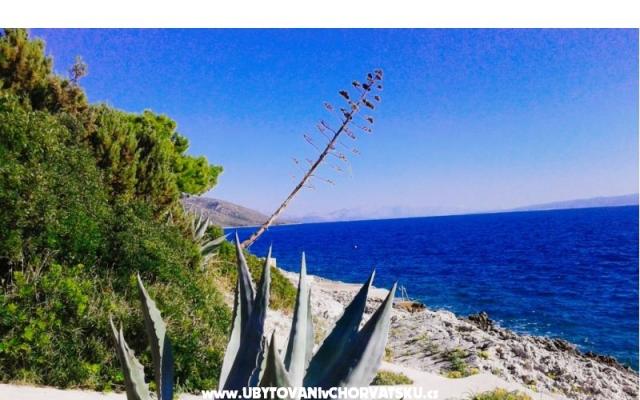 Goga Apartmány – Ubytování Trogir Chorvatsko