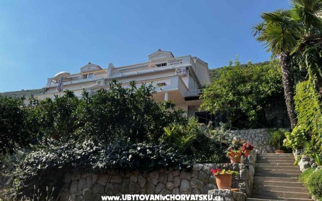 Vila Nautilus luxury Apartmány – Ubytování Trpanj – Pelješac Chorvatsko