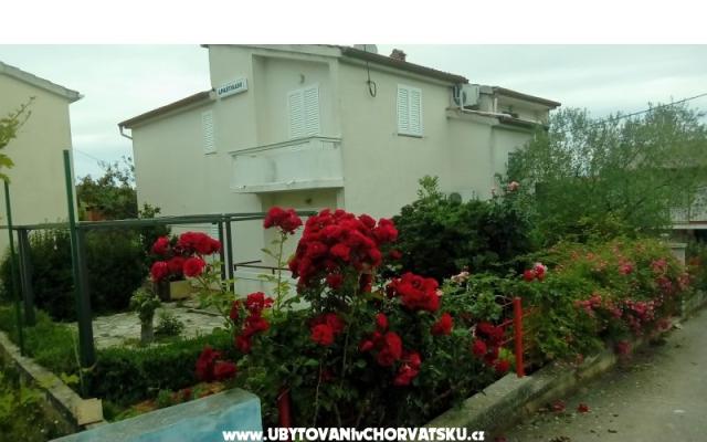 Apartmány Tomislav – Ubytování ostrov Ugljan Chorvatsko