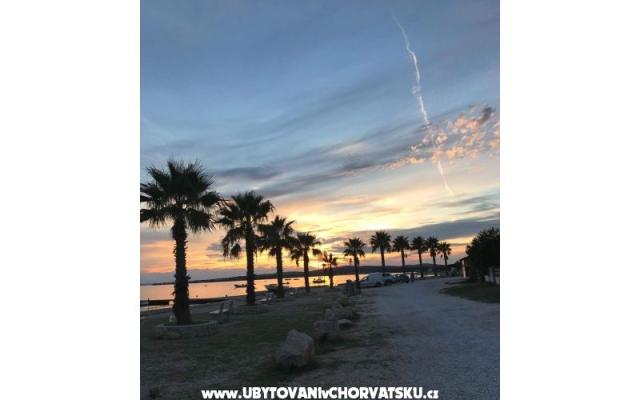 Apartmány Robi – Ubytování ostrov Vir Chorvatsko