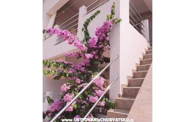 Apartmány Maja – Ubytování ostrov Vir Chorvatsko