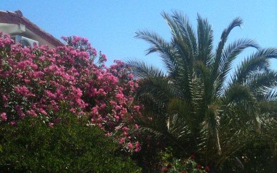 Apartmán Lučica – Ubytování ostrov Vir Chorvatsko