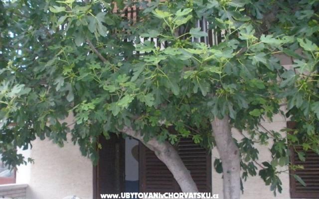 Apartmány  Smokva   – Ubytování Vodice Chorvatsko