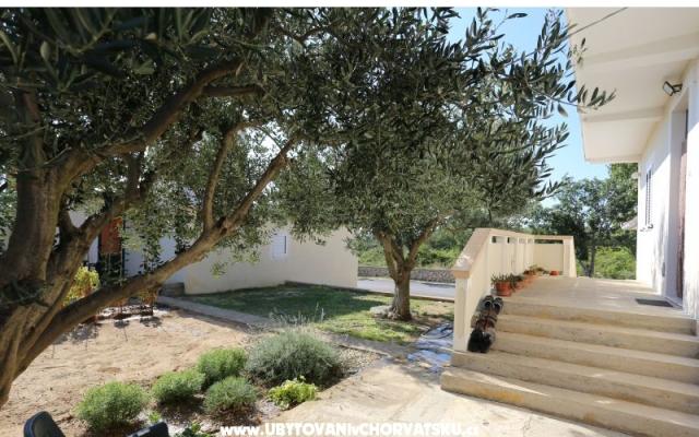 Apartmán Radobuljac Vrsi  – Ubytování Zadar Chorvatsko