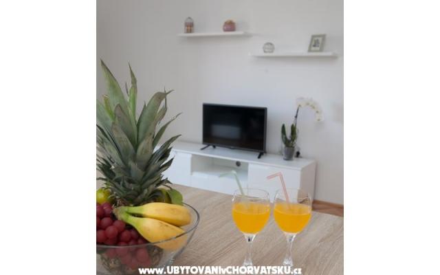 Apartmán "Roko" – Ubytování Zadar Chorvatsko