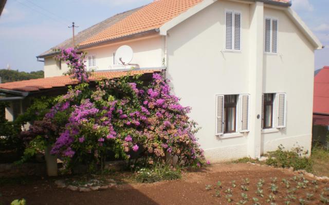 Dům Branka – Ubytování Zadar Chorvatsko