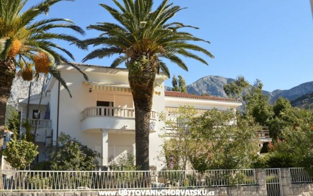 Vila Danica – Ubytování Zaostrog Chorvatsko