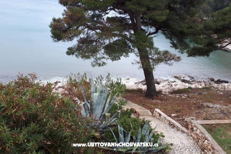 Apartmány Malac – foto 7