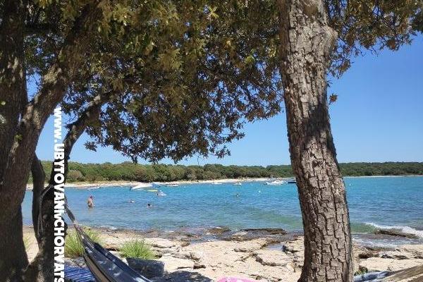 Apartmán Mendula  – foto 15