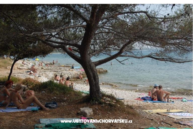 Apartmán Perla – foto 17