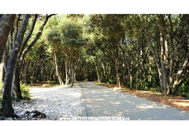 Apartmány Lisicak – foto 8