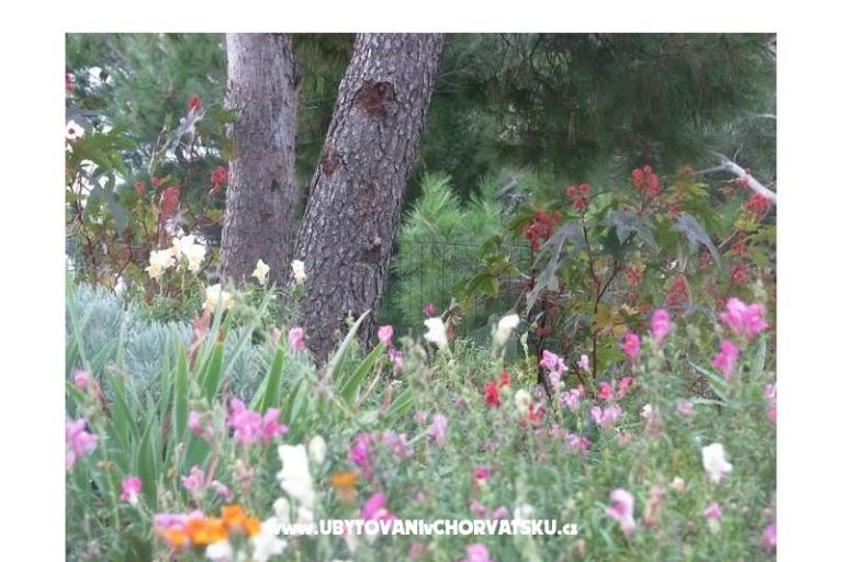 Ana Apartmány – foto 10