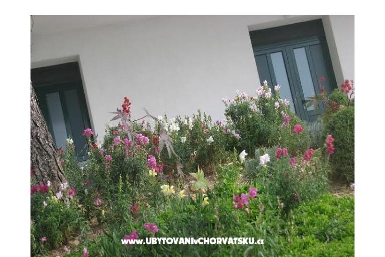 Ana Apartmány – foto 11