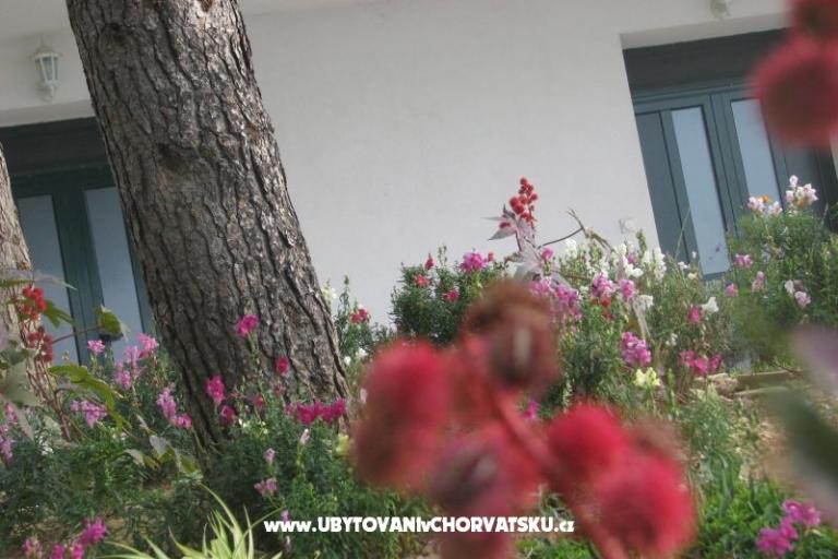 Ana Apartmány – foto 18