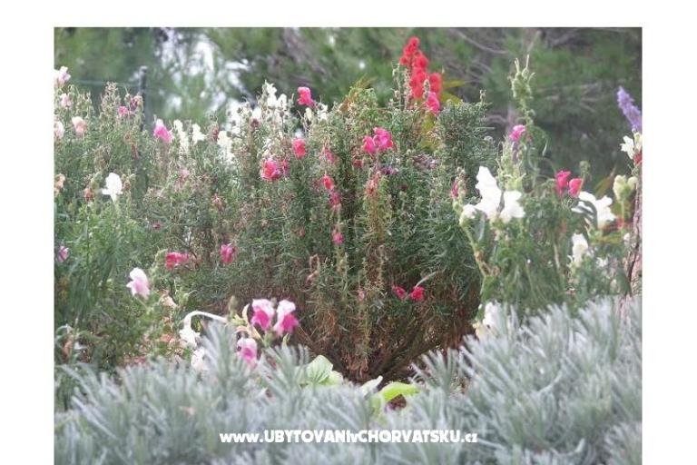 Ana Apartmány – foto 9