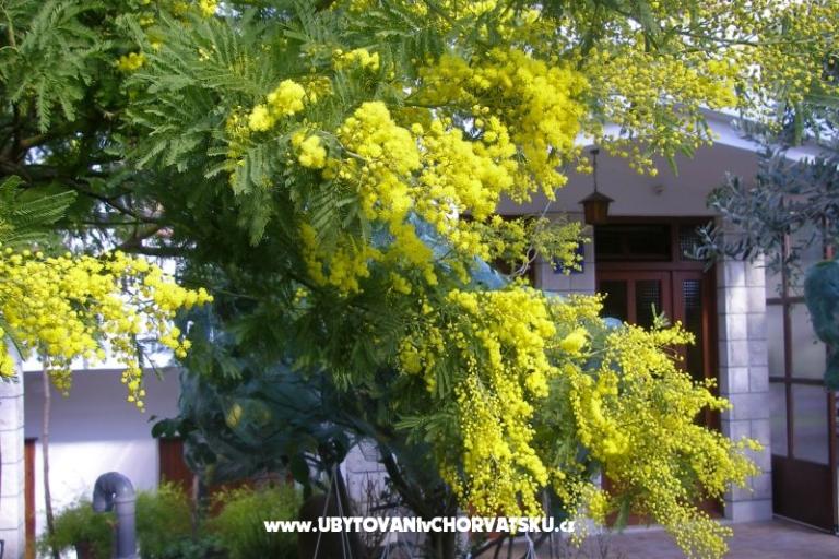 Apartmány Bašković – foto 17