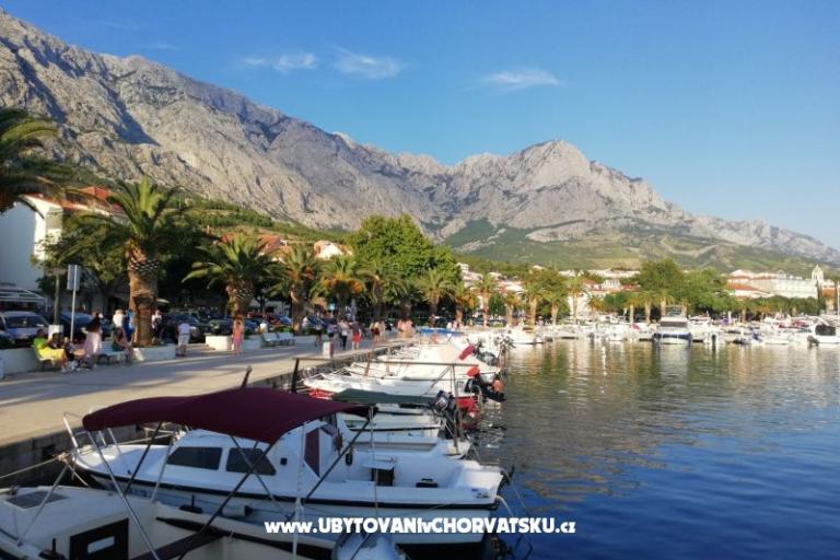 Apartmány Divić - Villa Mateo  – foto 17