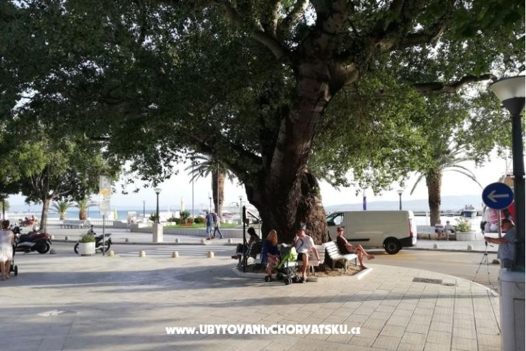 Apartmány Divić - Villa Mateo  – foto 18
