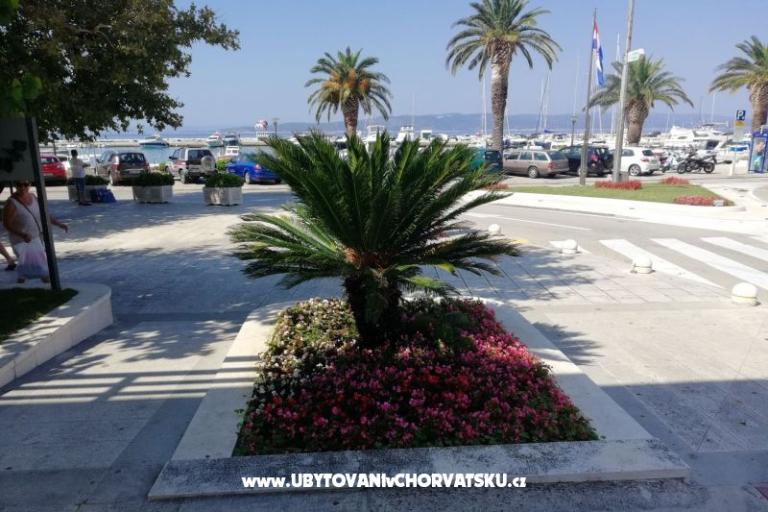 Apartmány Divić - Villa Mateo  – foto 19
