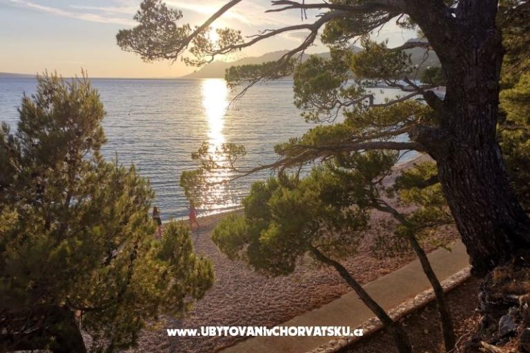 Apartmány Divić - Villa Mateo  – foto 27