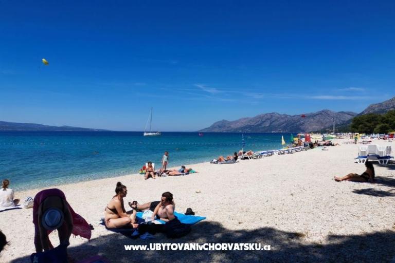 Apartmány Divić - Villa Mateo  – foto 39