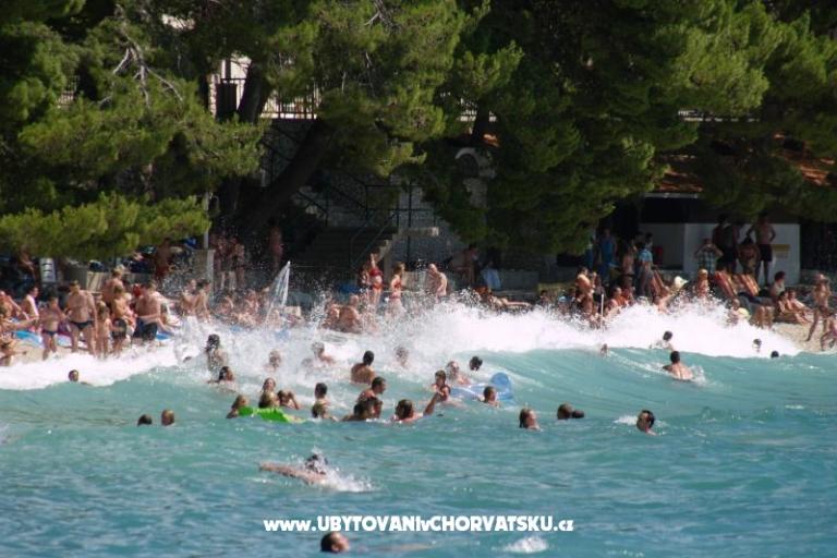 Apartmány i sobe PAULA – foto 9