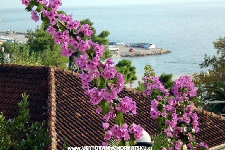 Apartmány Jurišić – foto 17