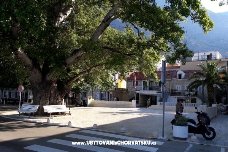 Apartmány Melinda – foto 9
